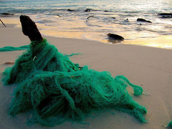 marine debris net marine debris net